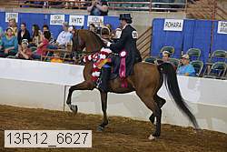 13r12_6627 thumbnail