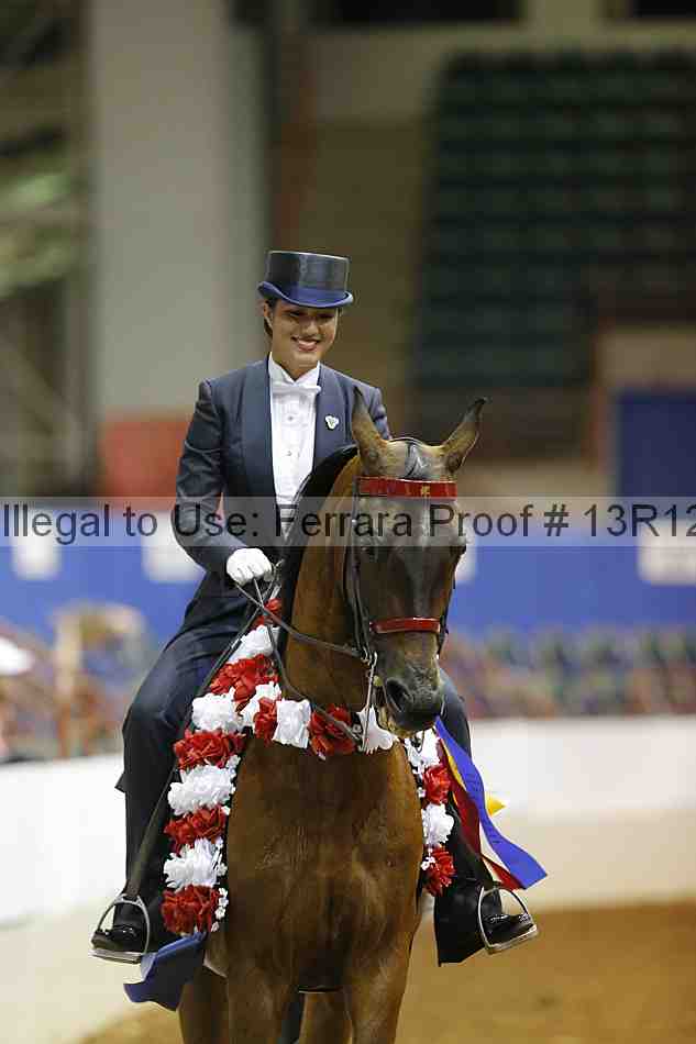 Proof Number 13r12_6629
