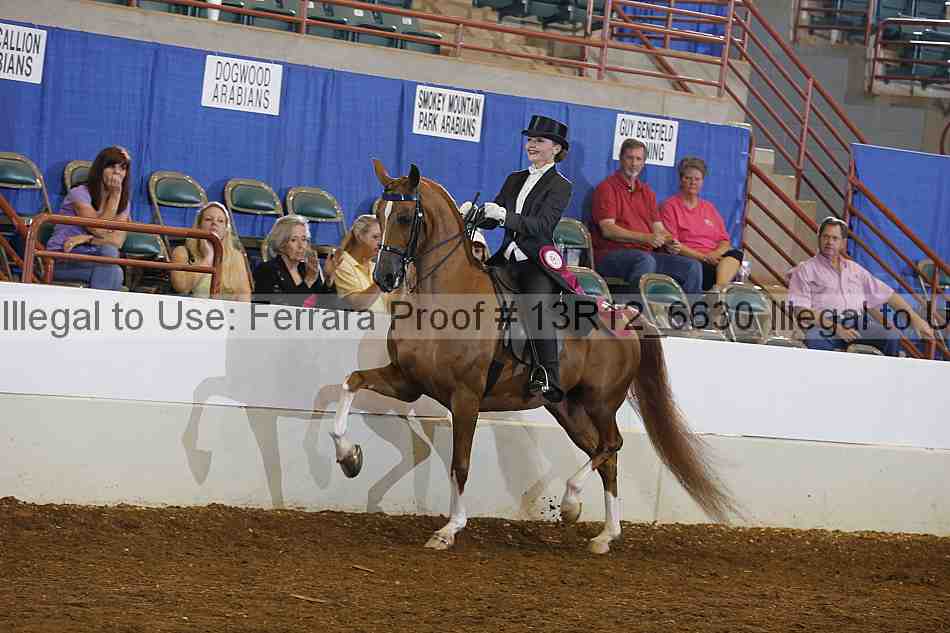 Proof Number 13r12_6630