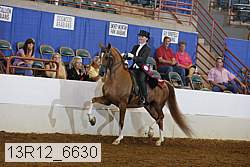 13r12_6630 thumbnail