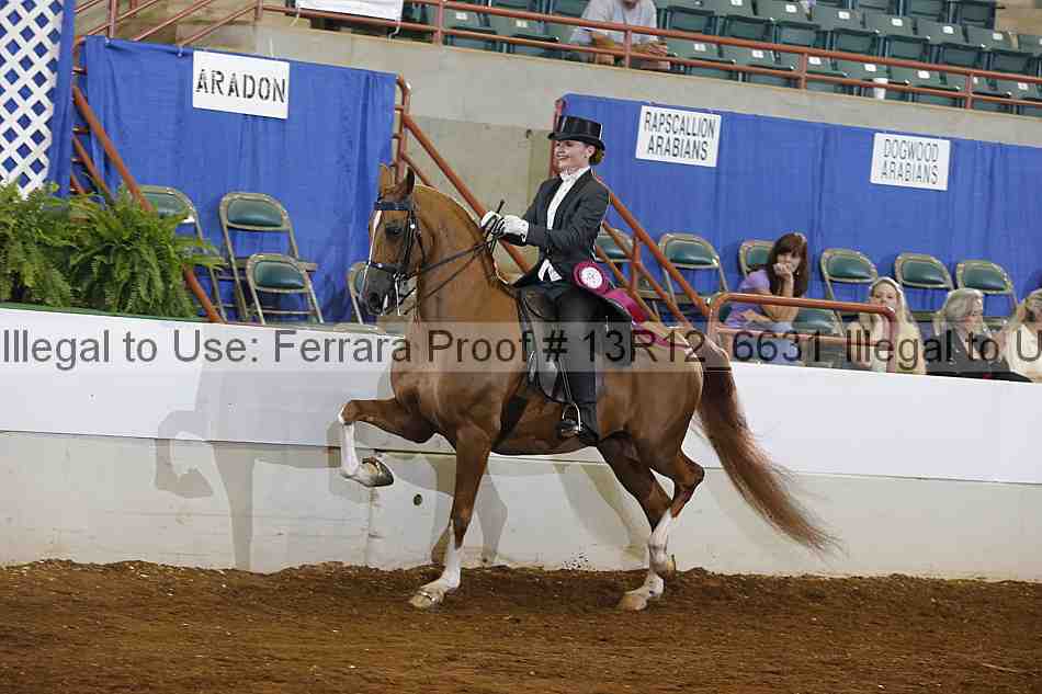 Proof Number 13r12_6631