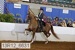 13r12_6631 thumbnail