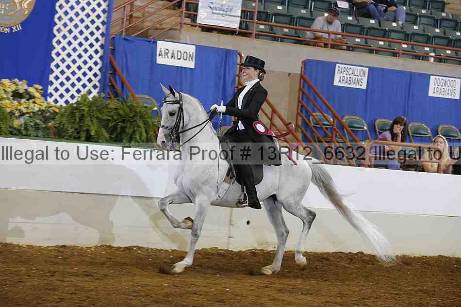 Proof Number 13r12_6632