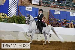13r12_6632 thumbnail