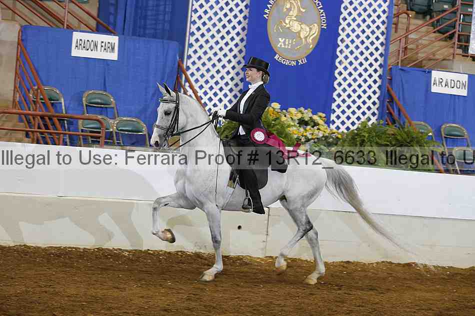 Proof Number 13r12_6633