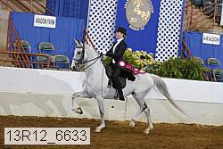13r12_6633 thumbnail