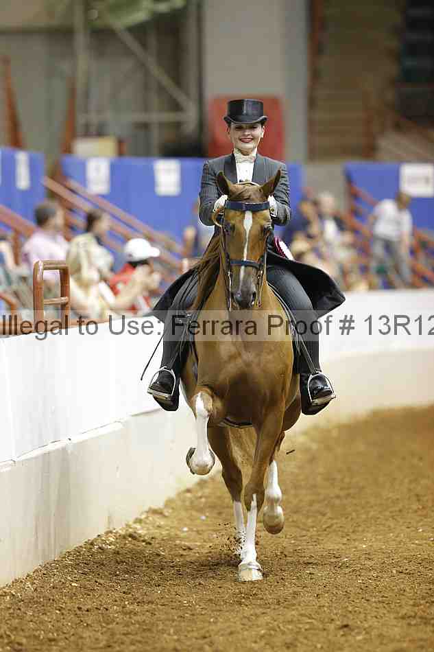 Proof Number 13r12_6634
