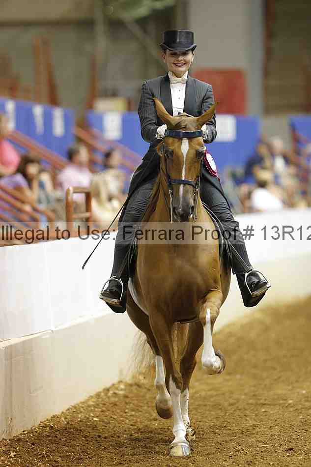 Proof Number 13r12_6635