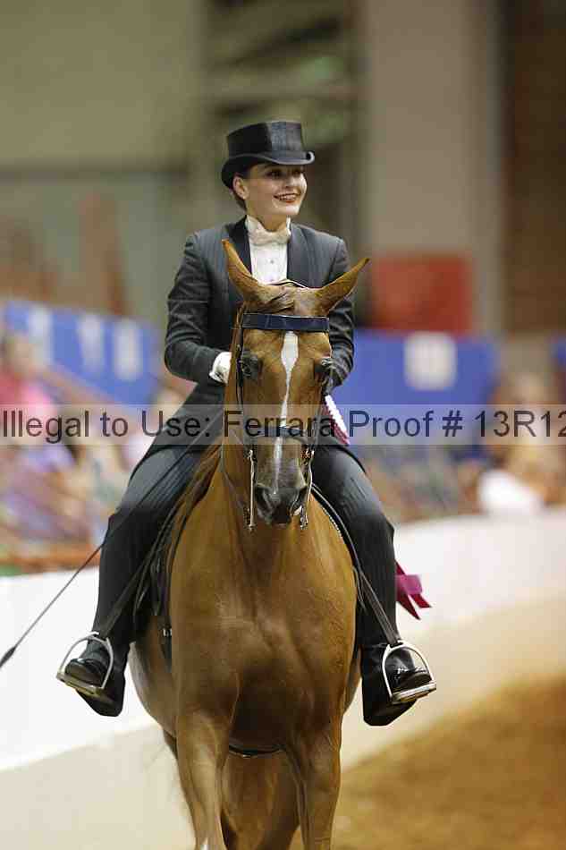 Proof Number 13r12_6636