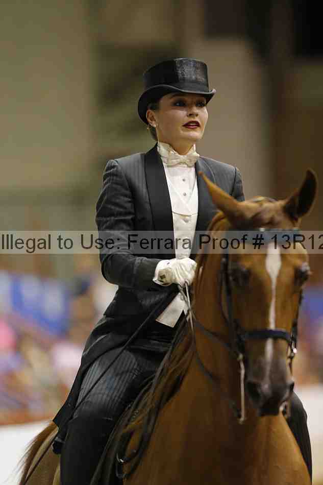 Proof Number 13r12_6637