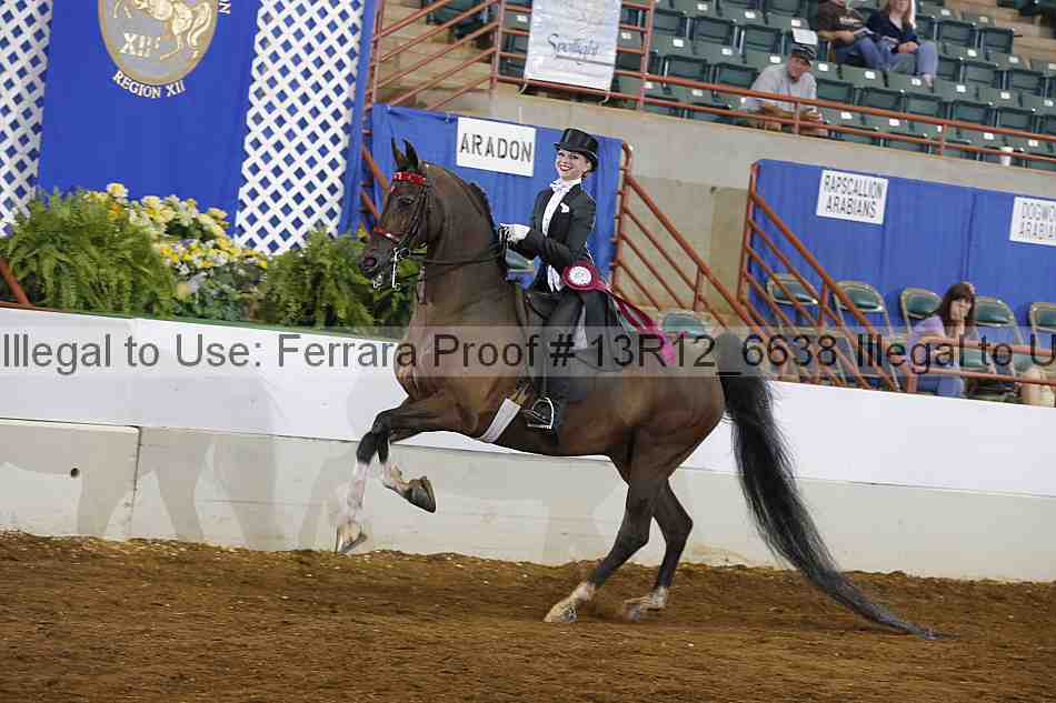 Proof Number 13r12_6638
