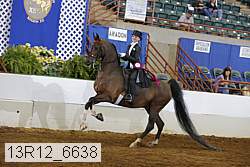 13r12_6638 thumbnail