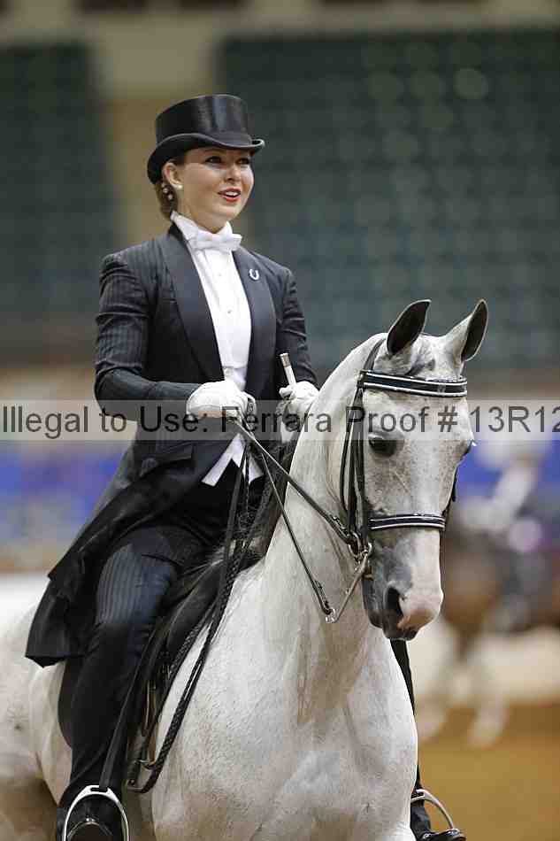 Proof Number 13r12_6639