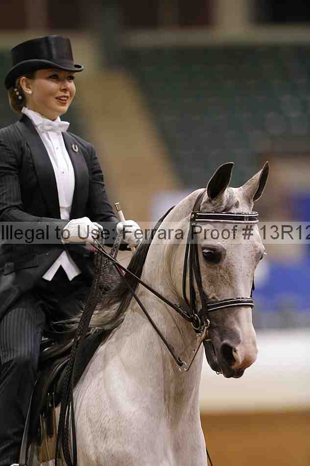 Proof Number 13r12_6640