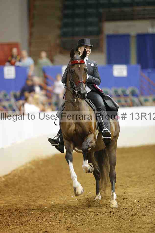 Proof Number 13r12_6641