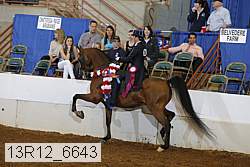 13r12_6643 thumbnail