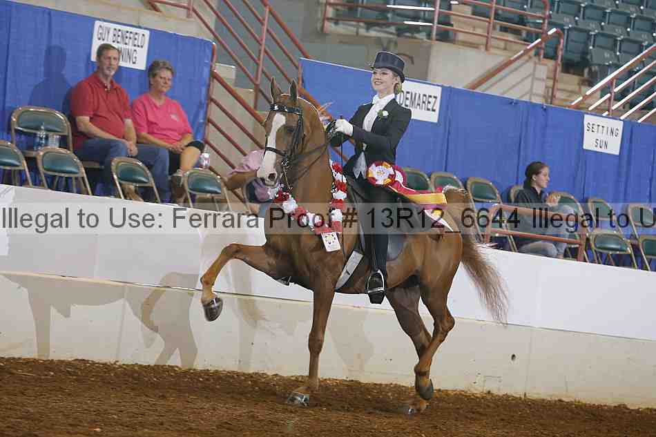 Proof Number 13r12_6644
