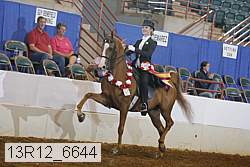 13r12_6644 thumbnail