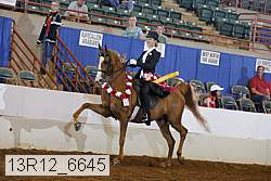 13r12_6645 thumbnail