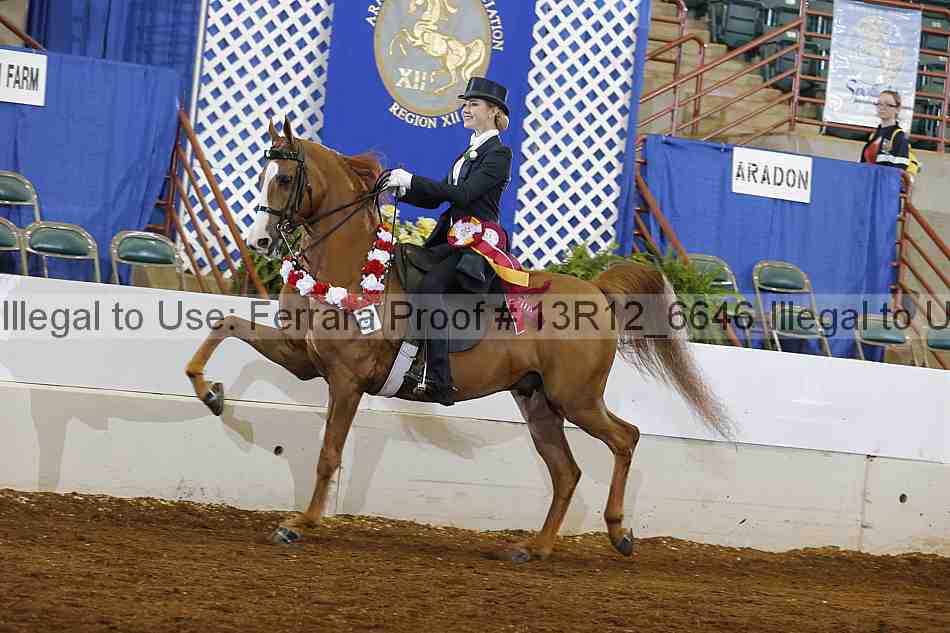 Proof Number 13r12_6646