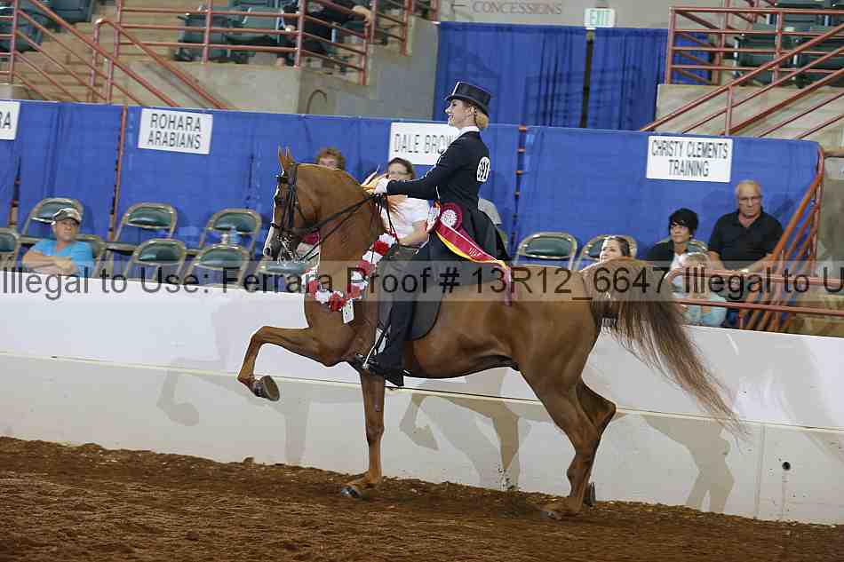 Proof Number 13r12_6647
