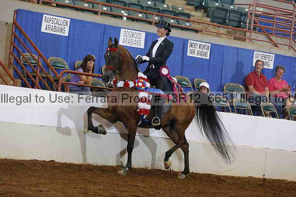 Proof Number 13r12_6651