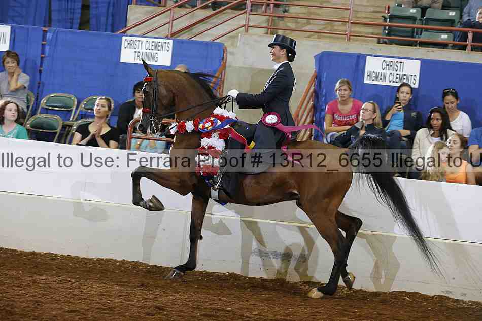 Proof Number 13r12_6655