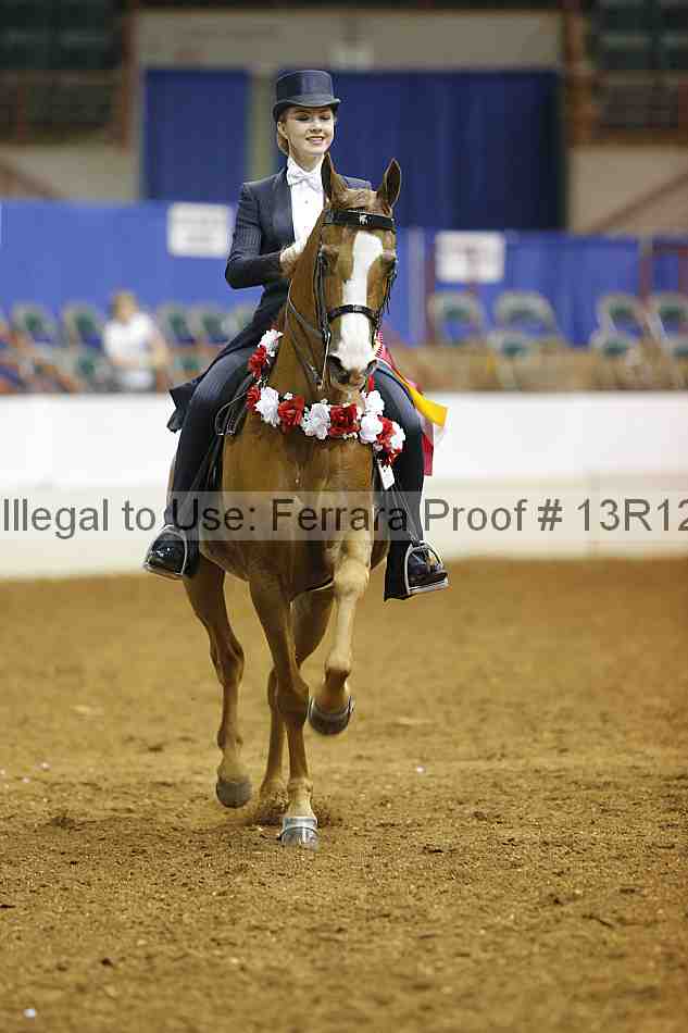 Proof Number 13r12_6672