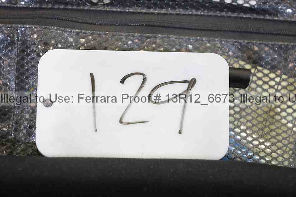 Proof Number 13r12_6673
