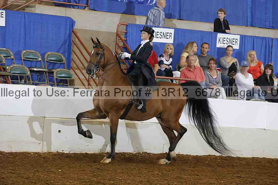 Proof Number 13r12_6678