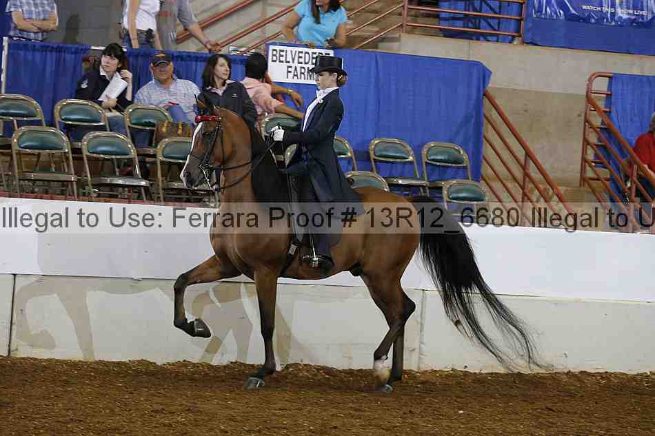 Proof Number 13r12_6680