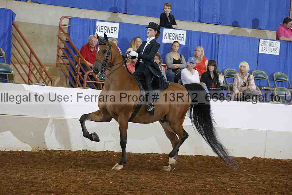 Proof Number 13r12_6685