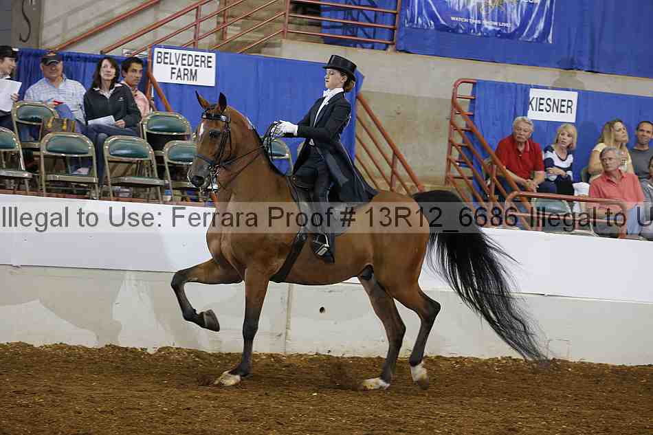 Proof Number 13r12_6686