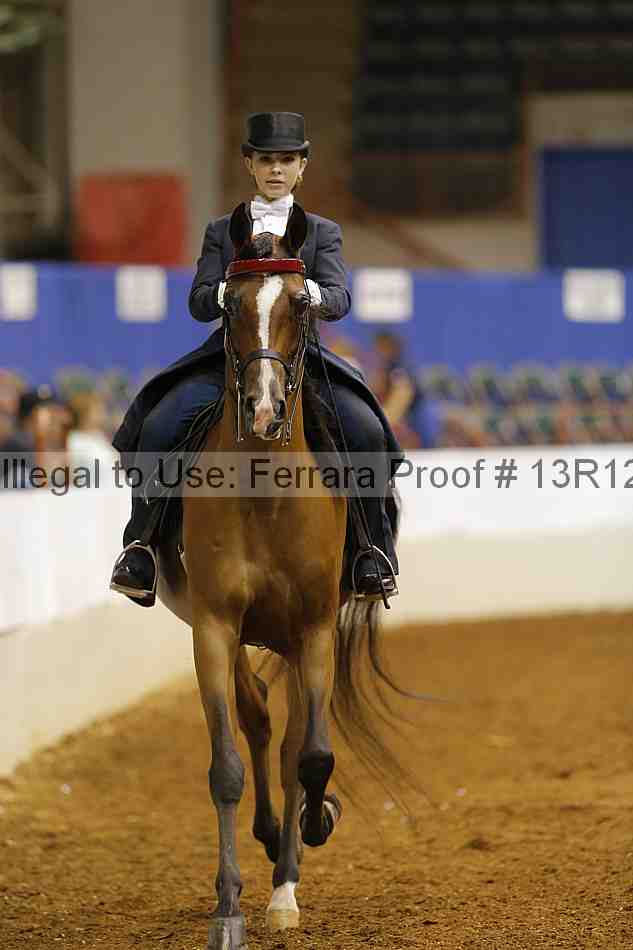 Proof Number 13r12_6688