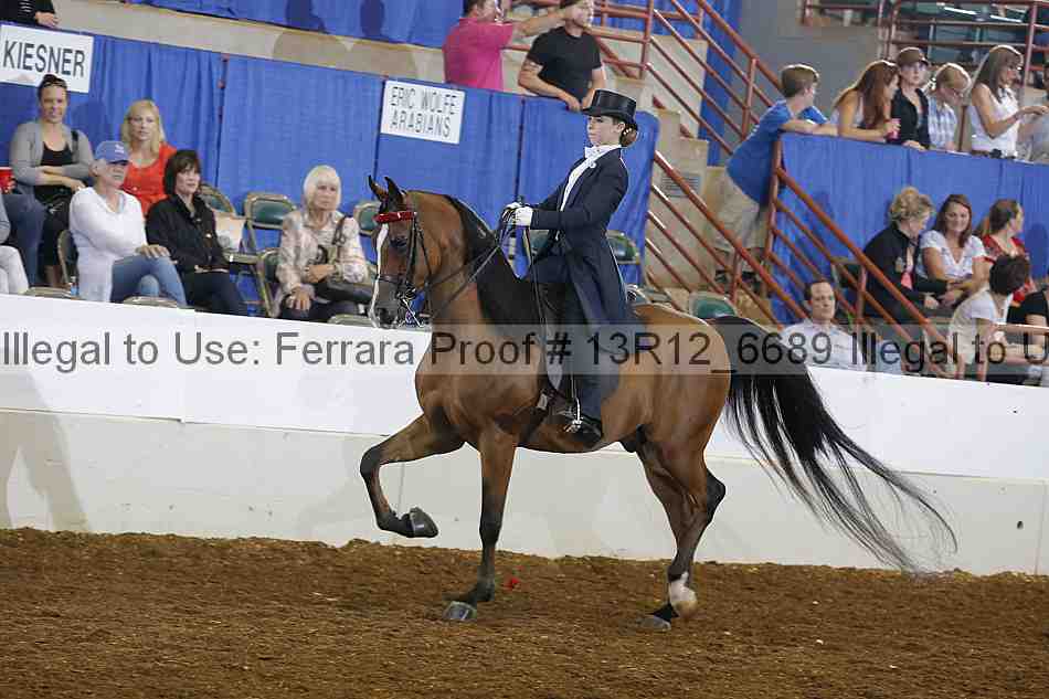 Proof Number 13r12_6689