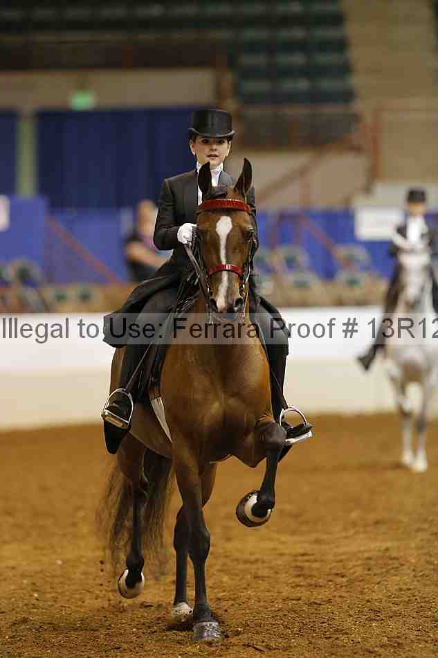 Proof Number 13r12_6692