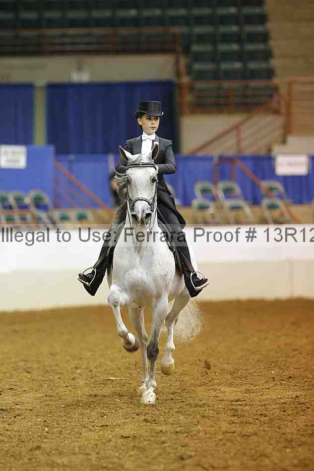 Proof Number 13r12_6693