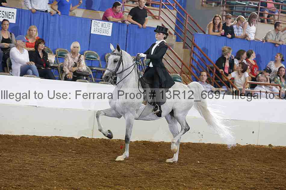 Proof Number 13r12_6697