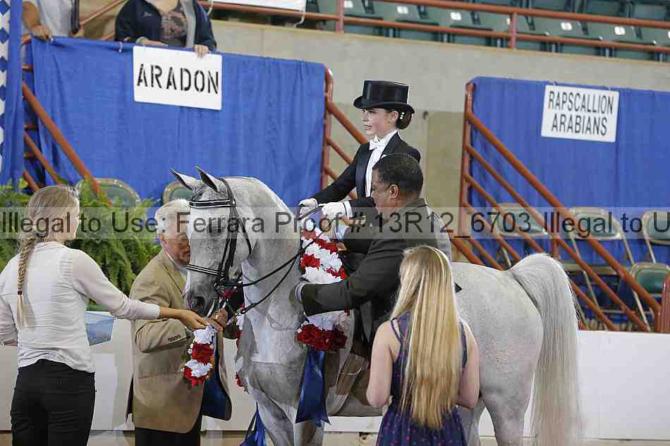 Proof Number 13r12_6703