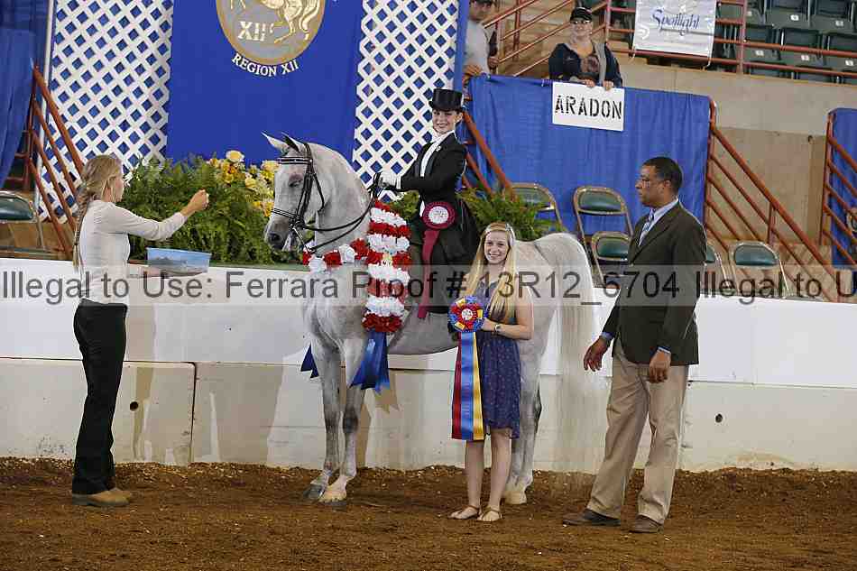 Proof Number 13r12_6704