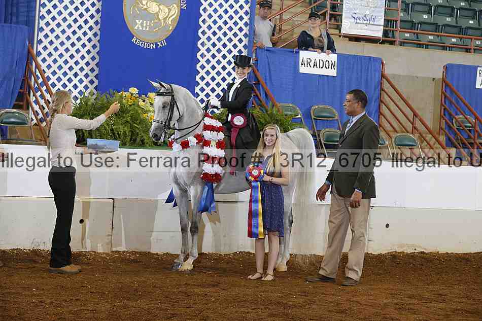 Proof Number 13r12_6705