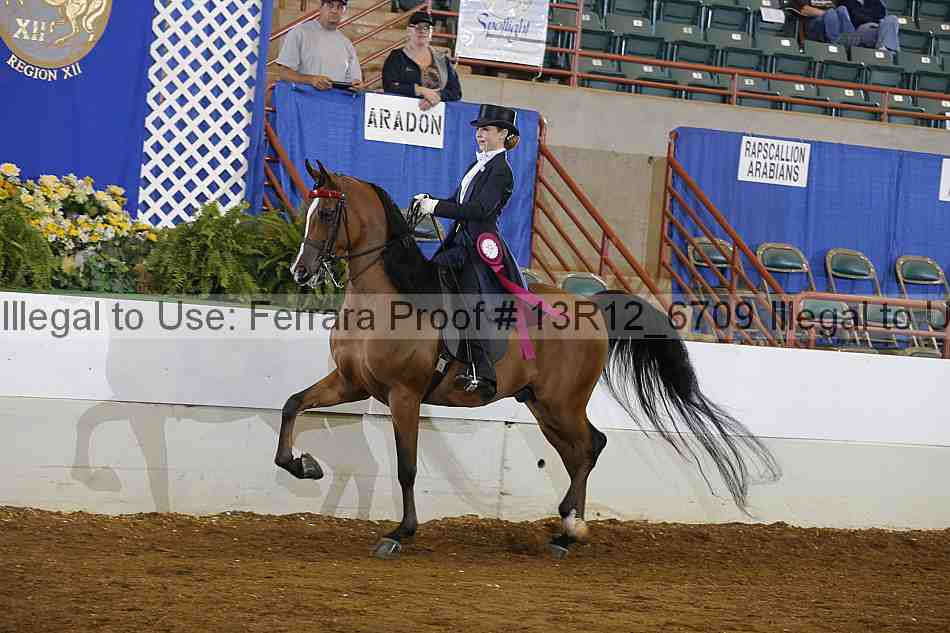 Proof Number 13r12_6709