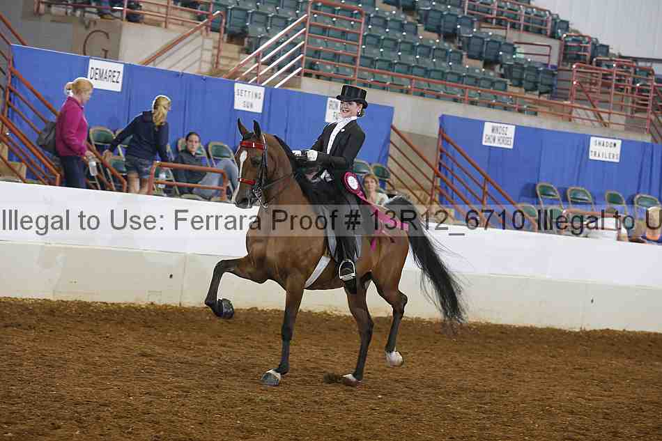 Proof Number 13r12_6710