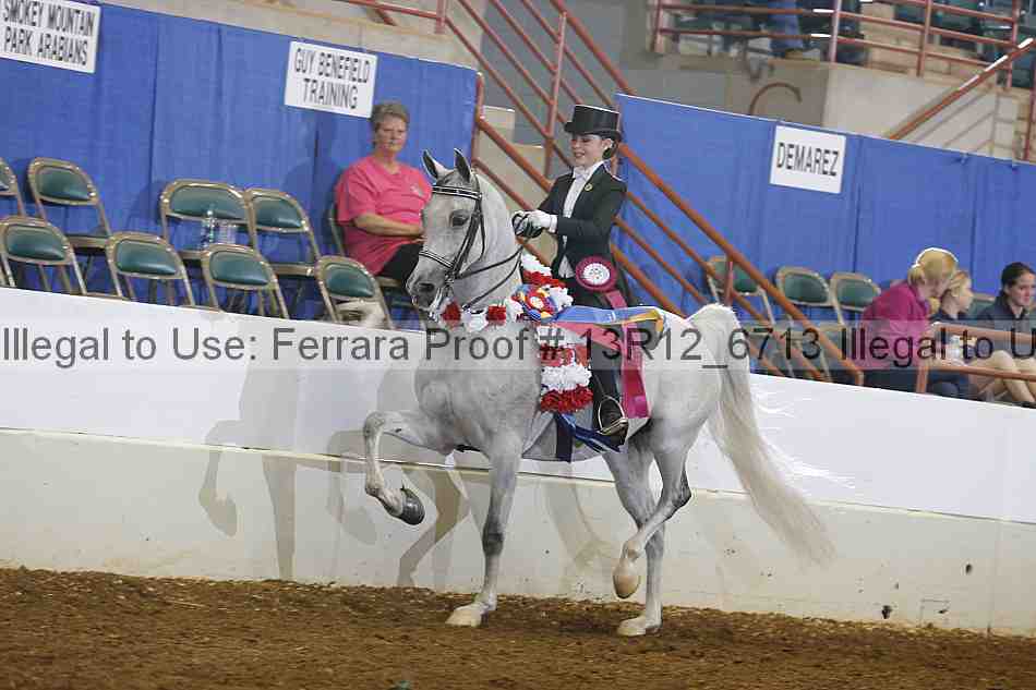 Proof Number 13r12_6713