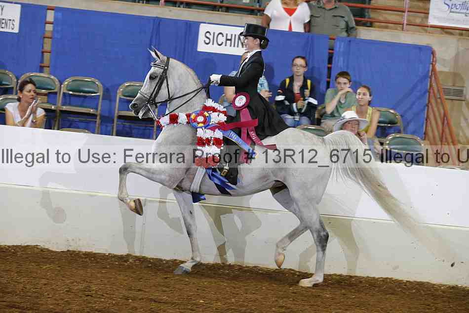 Proof Number 13r12_6715