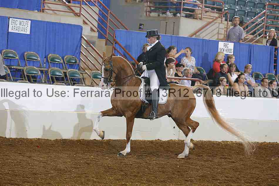 Proof Number 13r12_6718