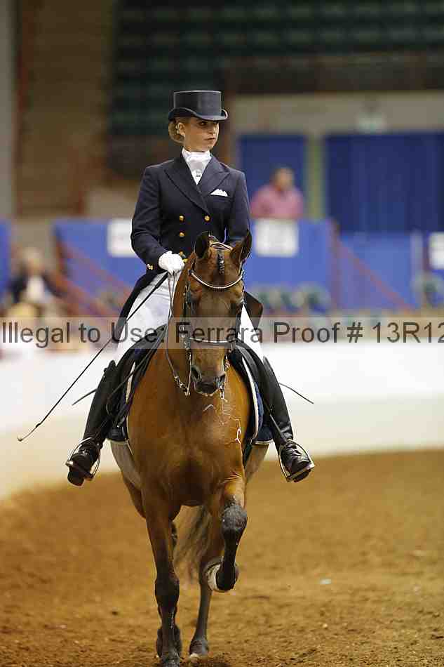 Proof Number 13r12_6724
