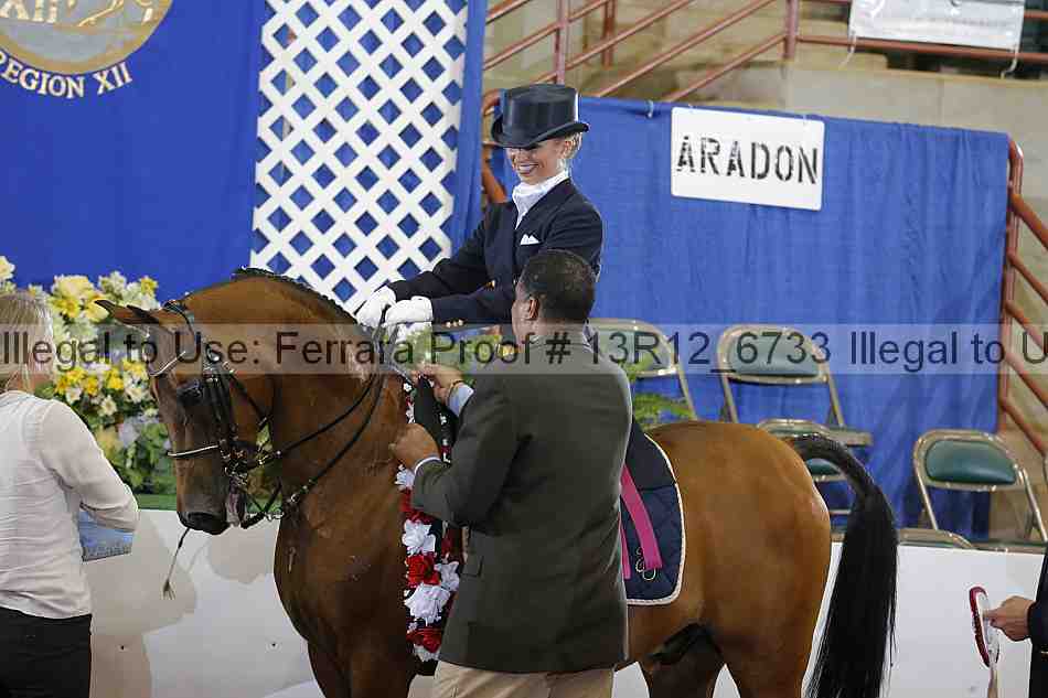 Proof Number 13r12_6733