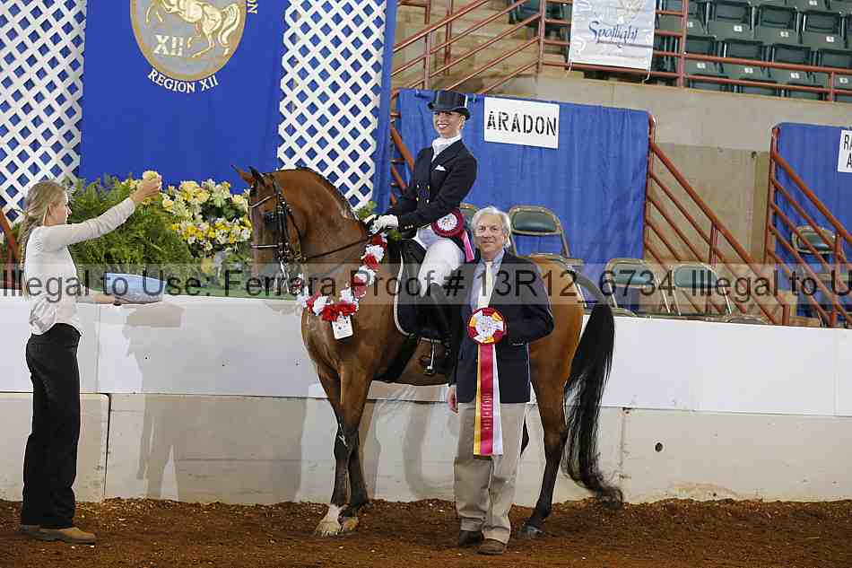 Proof Number 13r12_6734