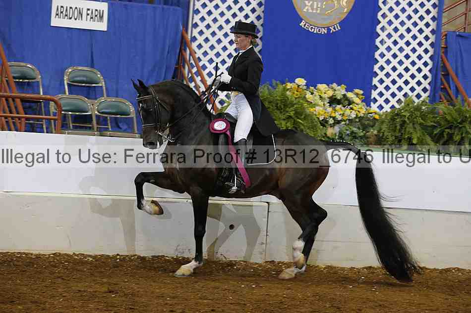 Proof Number 13r12_6746